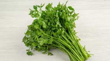 garnishing-instructions-image